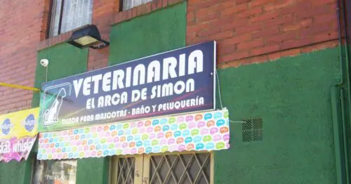 VETERINARIA EL ARCA DE SIMON VETERINARIA EL ARCA DE SIMON